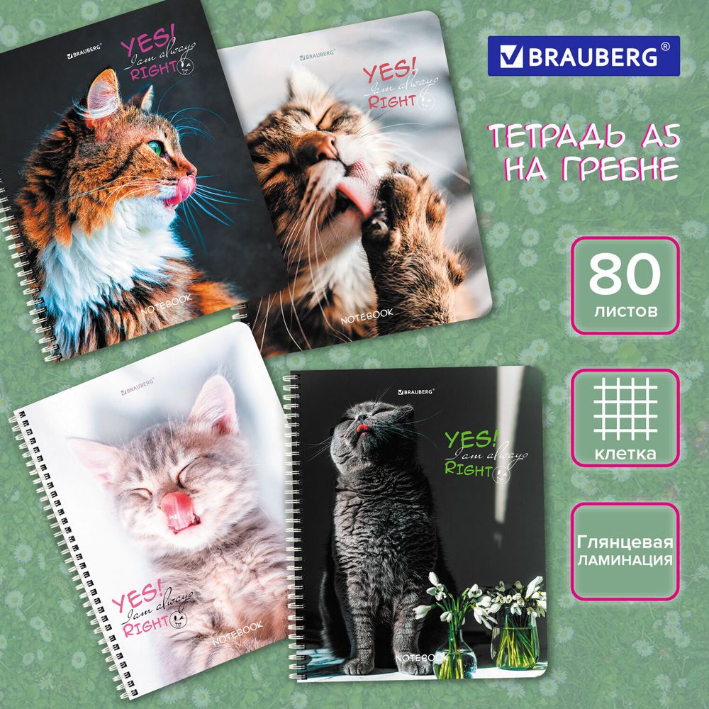 Тетрадь А5 80 л. BRAUBERG, гребень, клетка, глянцевая ламинация, "Довольные Коты", 404417, 4шт