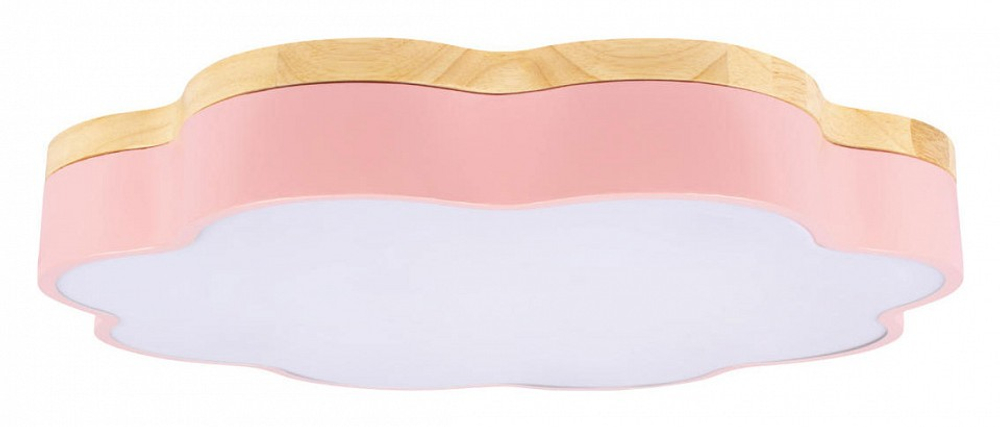 Накладной светильник Loft it Axel 10225/36 Pink