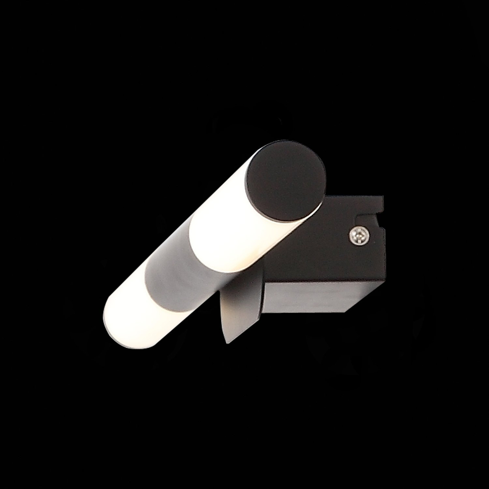 Светильник настенный ST Luce Gularri SL1593.401.02