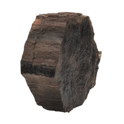 Окаменелое дерево (10,2*9,2*3,0 см)