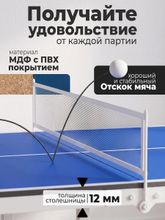 Теннисный стол DFC RayChee 60&amp;quot; 150 x 67 см