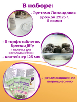 Семена Эустома высокорослая многолетняя Белая, Лизиантус комнатный + торфяные таблетки Jiffy в подарок, 5шт