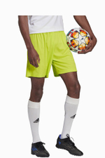 Шорты adidas Entrada 22