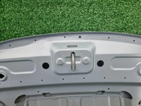 Капот Geely Tugella (2019-2024)