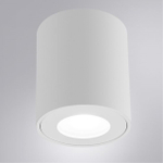 Накладной светильник Arte Lamp TINO A1469PL-1WH
