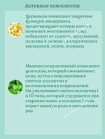Бустер-сыворотка с микроиглами для чувствительной кожи 2шт*2 ml VT Cosmetics Pro Cica Reedle Shot 100