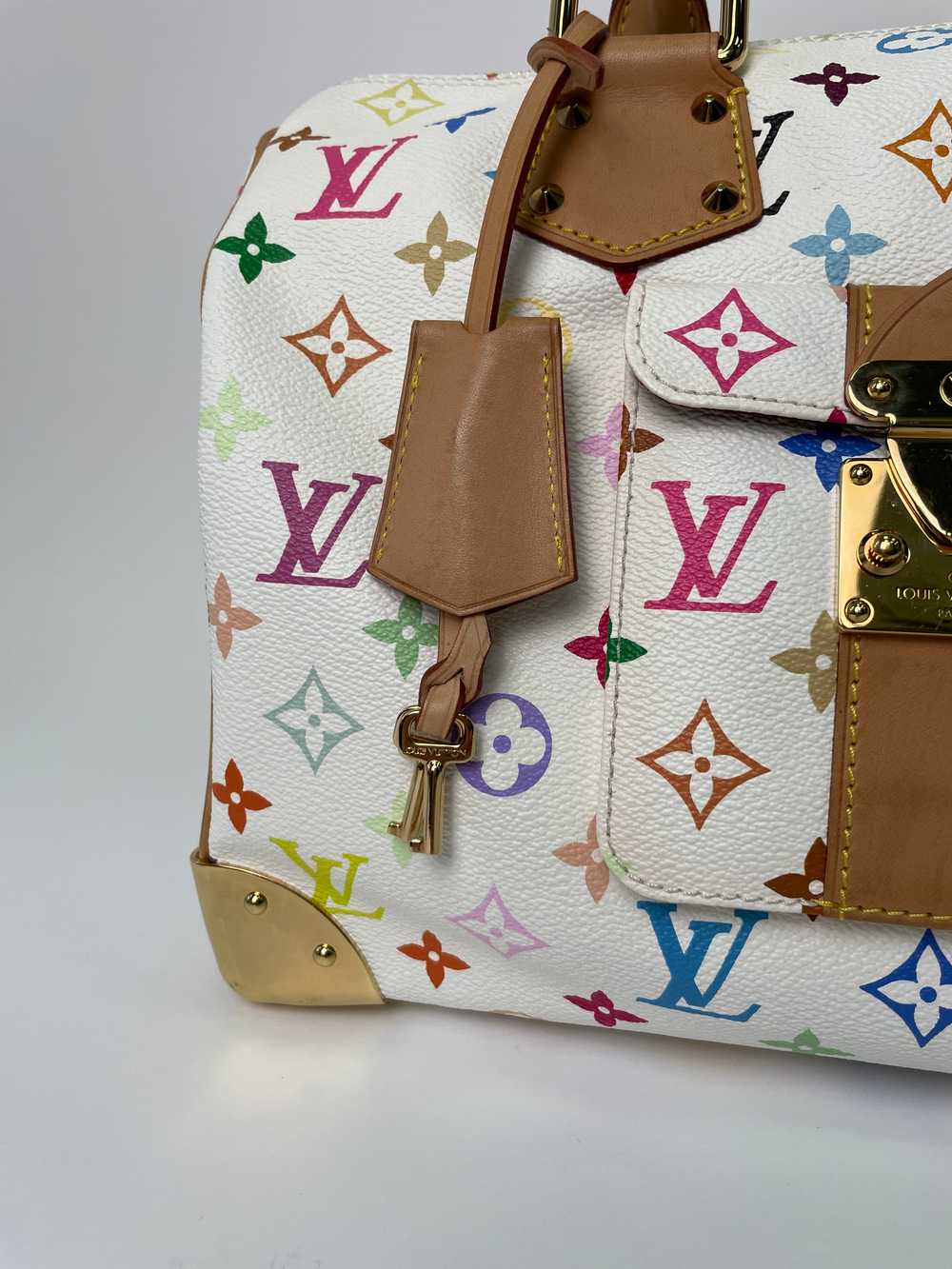 Сумка Louis Vuitton Speedy 30 Multicolor