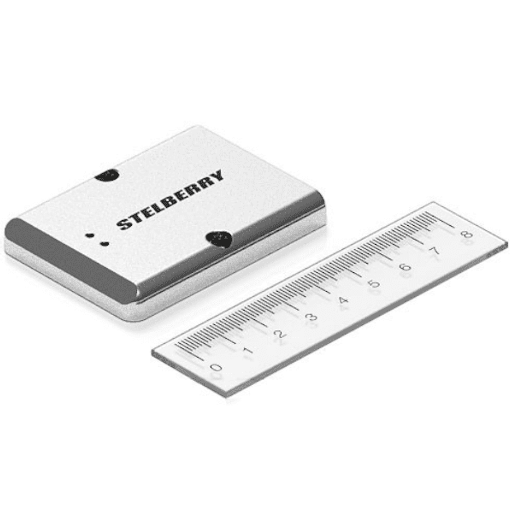 Stelberry M-100