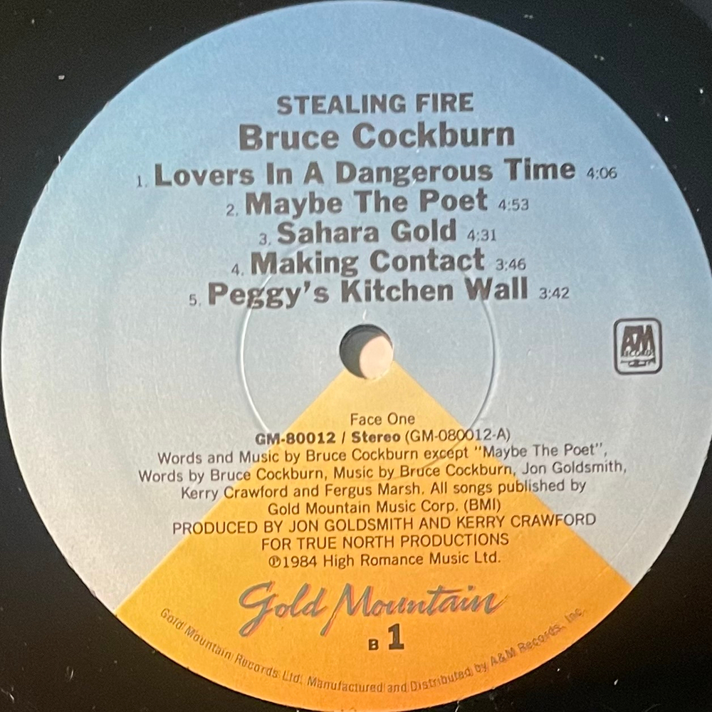 Bruce Cockburn ‎– Stealing Fire (США 1984г.)