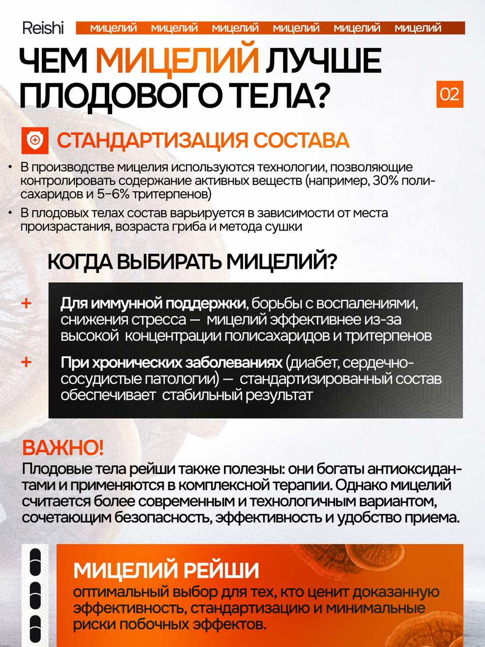 Рейши Линчжи 120 капсул