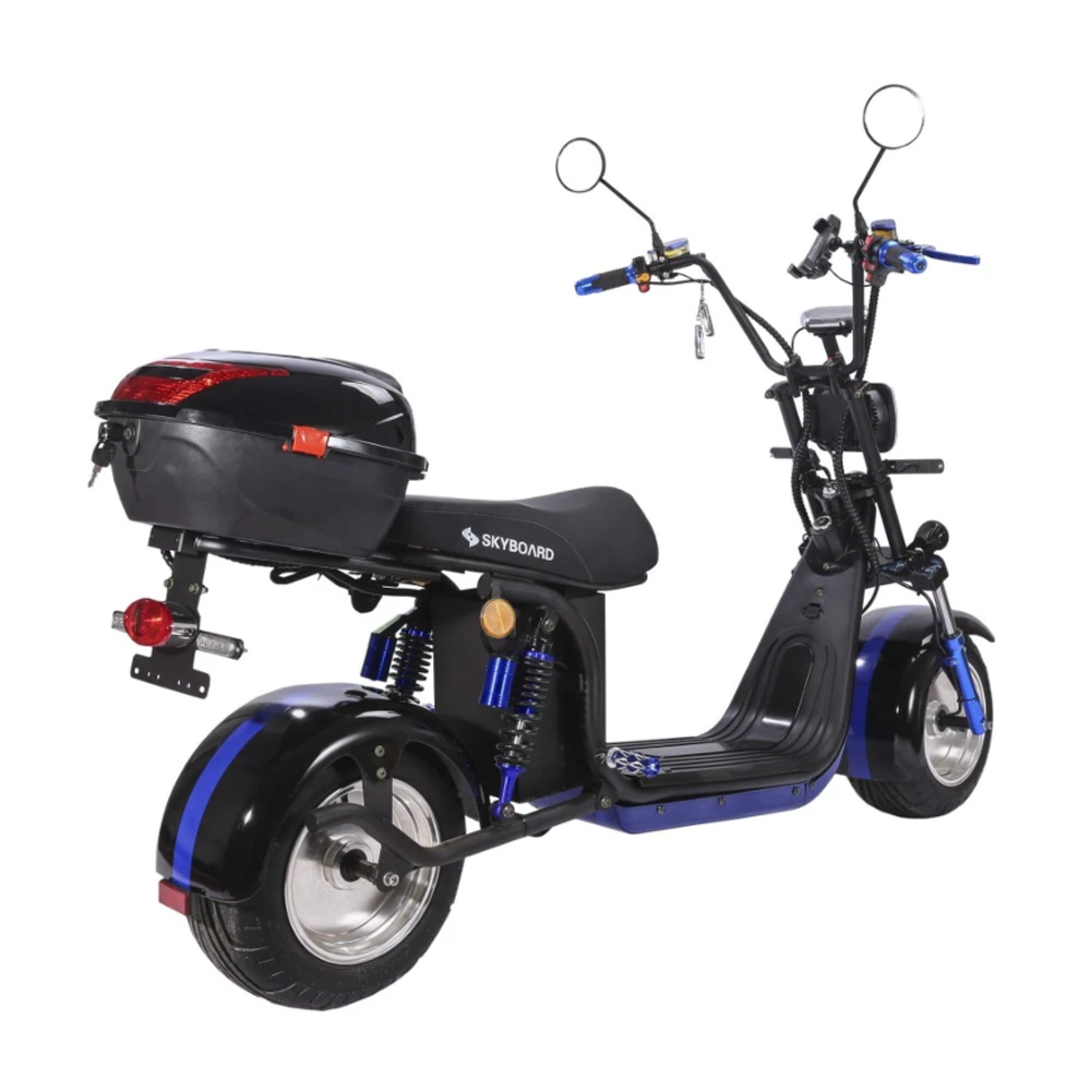 Электроскутер CityCoco Skyboard BR30-2WD (Ural) черный