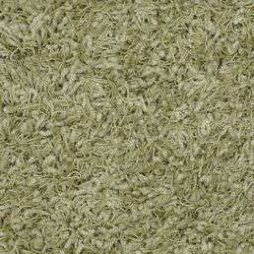 Ковровое покрытие Shaw Floors Super Chic 342