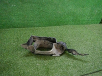 DSCN1875.JPG