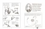 Физика. Естественная наука в комиксах