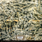 Siouxsie And The Banshees / Juju (LP)