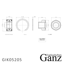 Подшипник ступицы передний OPEL Corsa D GANZ GIK05205