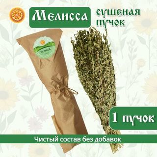 Мелисса лимонная (пучок)