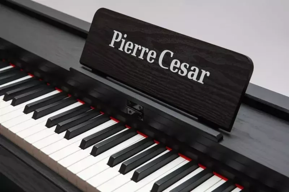 Pierre Cesar DP-12-H