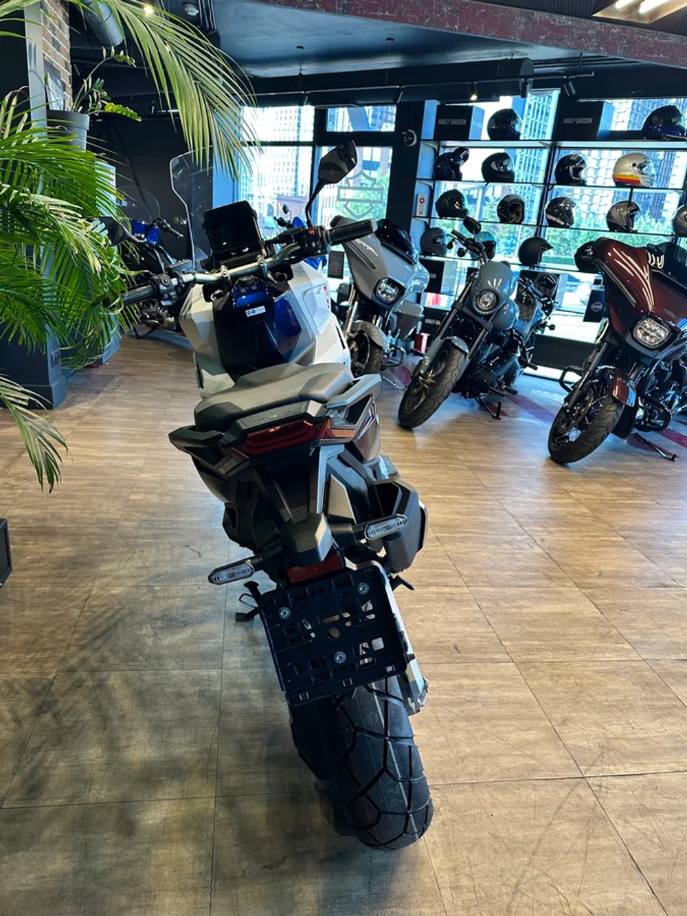 HONDA ADV750T special edition
