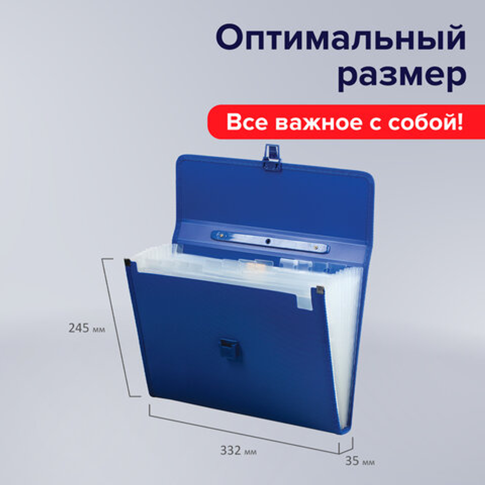 BRAUBERG Папка-портфель пласт. BRAUBERG А4 (332х245х35мм), 13 отделений,синий, 221379