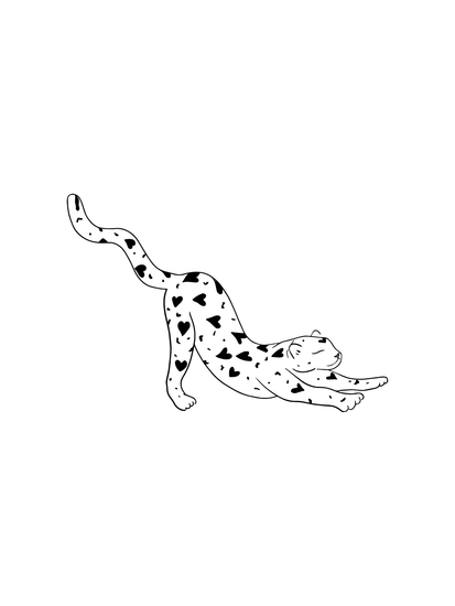 leopard