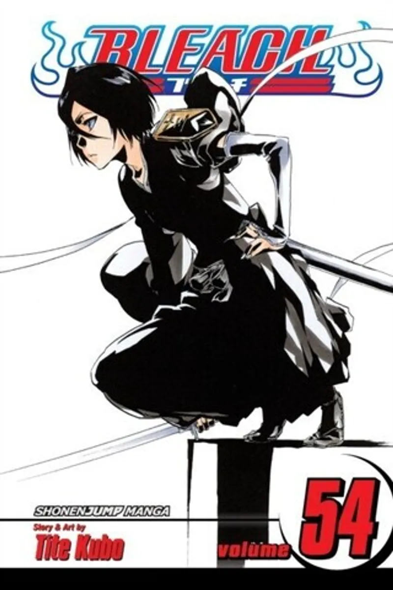 Bleach. Vol. 54 (На английском языке)