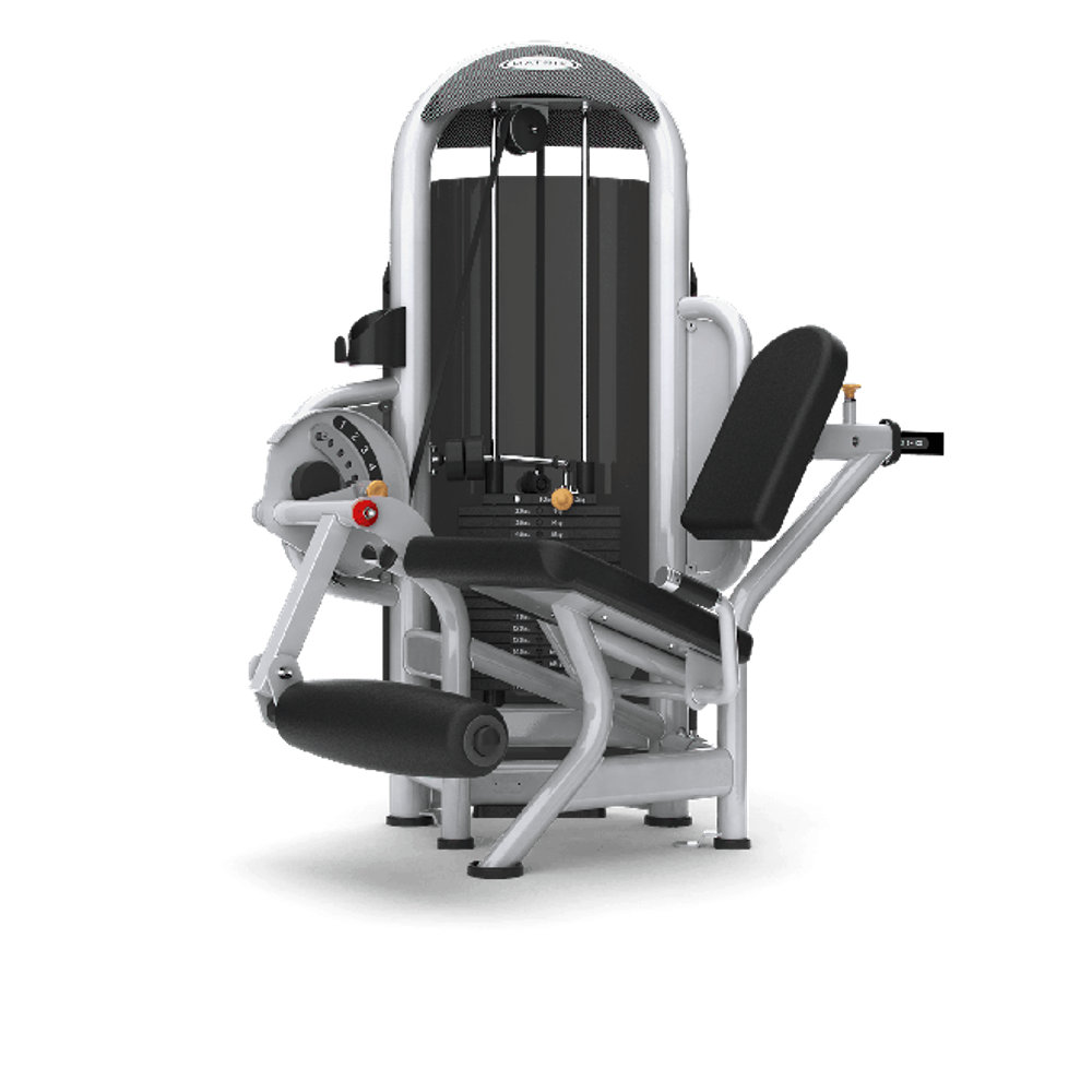 Разгибание ног MATRIX Aura Leg Extension G3-S71