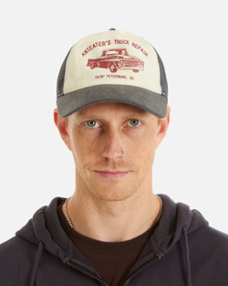 Кепка Anteater Trucker Combo Серый