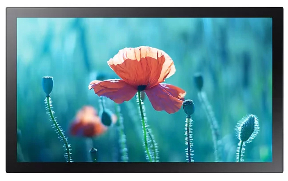 Дисплей интерактивный Samsung QB13R-TM