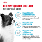 Royal Canin X-Small Puppy Икс-Смол Паппи Корм сухой для щенков миниатюрных пород в возрасте до 10 месяцев 3кг