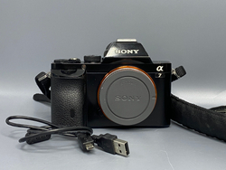 Sony A7 — 31155 кадров