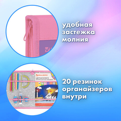 Папка на молнии BRAUBERG А4 с ручкой, с органайзером, 1 отделение, Кошачьи лапки, 273383