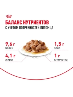 AGEING 12+ Корм для кошек в соусе 85г*28шт
