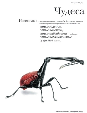 Поразительные насекомые. Книга про подземных математиков, мастеров блефа, дружных кочевников, зомби