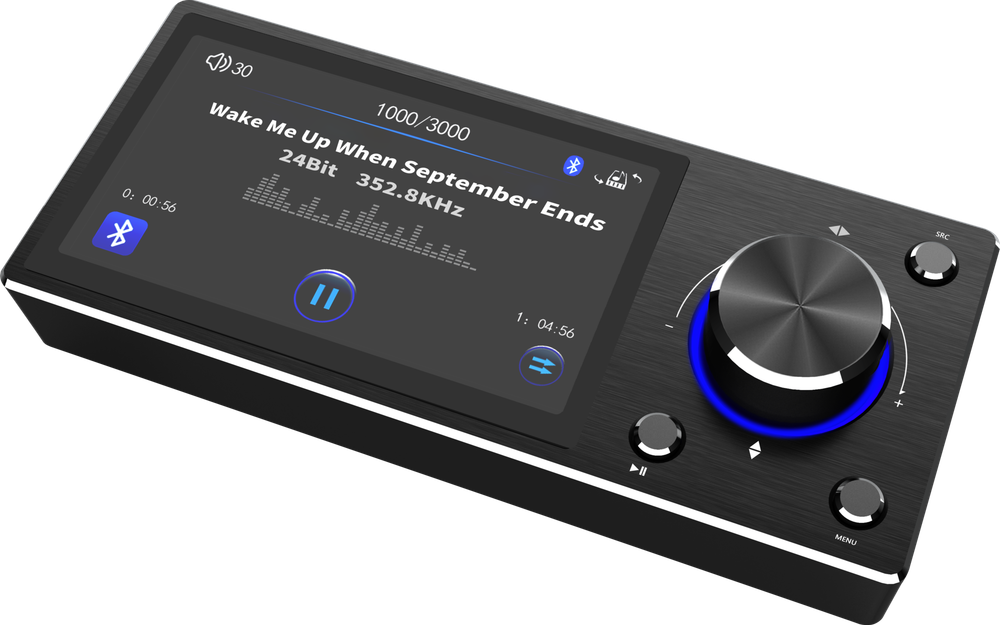 GOLDHORN Panel Controller with Display for Player