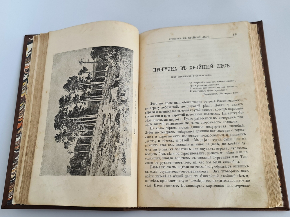 "Детский отдых. Ежемесячный иллюстрированный журнал для детей". 1895г.