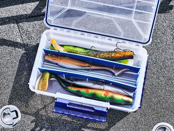 Виброхвосты LJ 3D BBS Series KUBIRA SWIM SHAD 12,0in (30,48)/PG27 1шт.