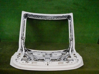 DSCN5423.jpg