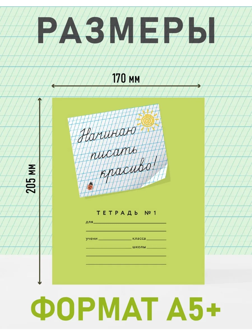 Набор тетрадей "Начинаю писать красиво! №1", 12 л, 10 шт (плёнка)