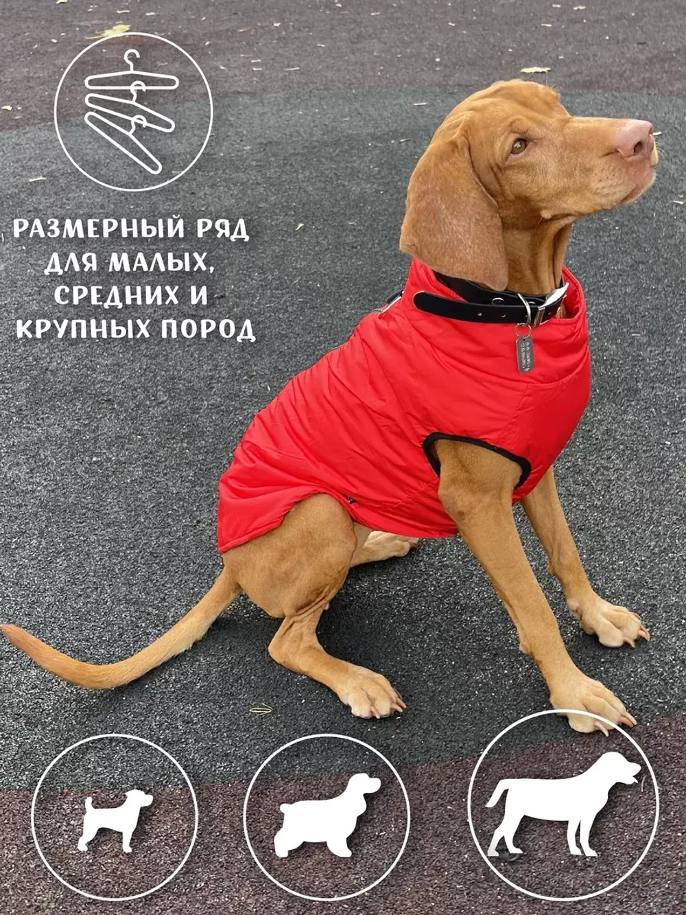 Жилет для собак мелких средних крупных пород