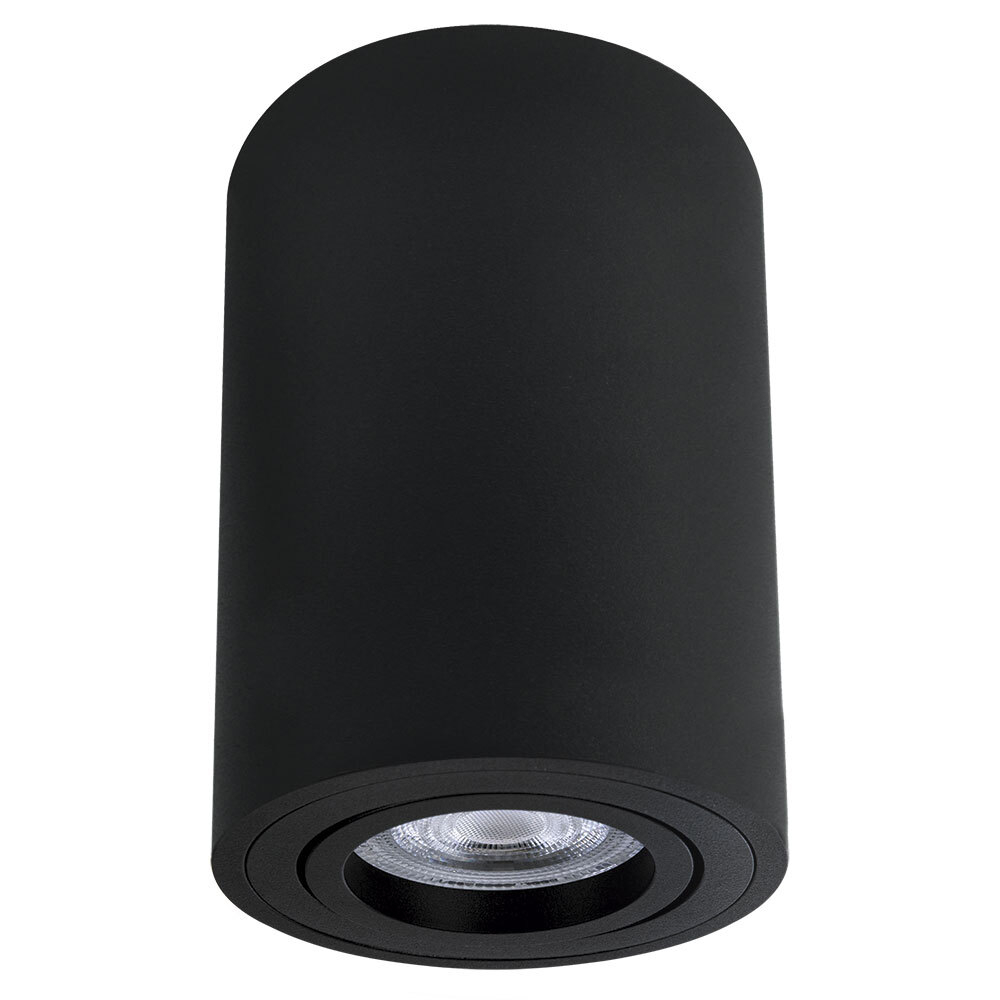 Накладной светильник Arte Lamp SENTRY A1566PL-1BK