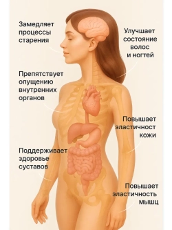 Коллаген со вкусом лимон-лайм (180 гр)