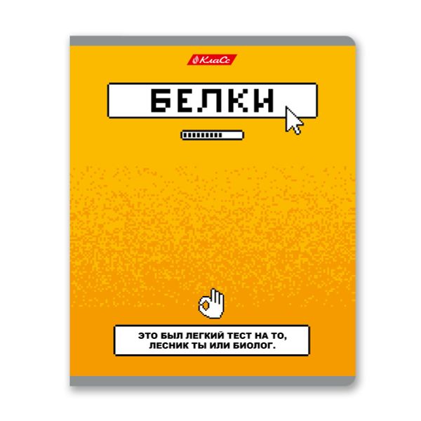 Тетрадь ученическая общая, софт-тач ламинация, A5+ 48 л. на скобе 65 г/м², белизна 100%, 10 шт, клетка в термоусадочной пленке, 000746 Пройди тест, Светоч 48ТЕТк-006