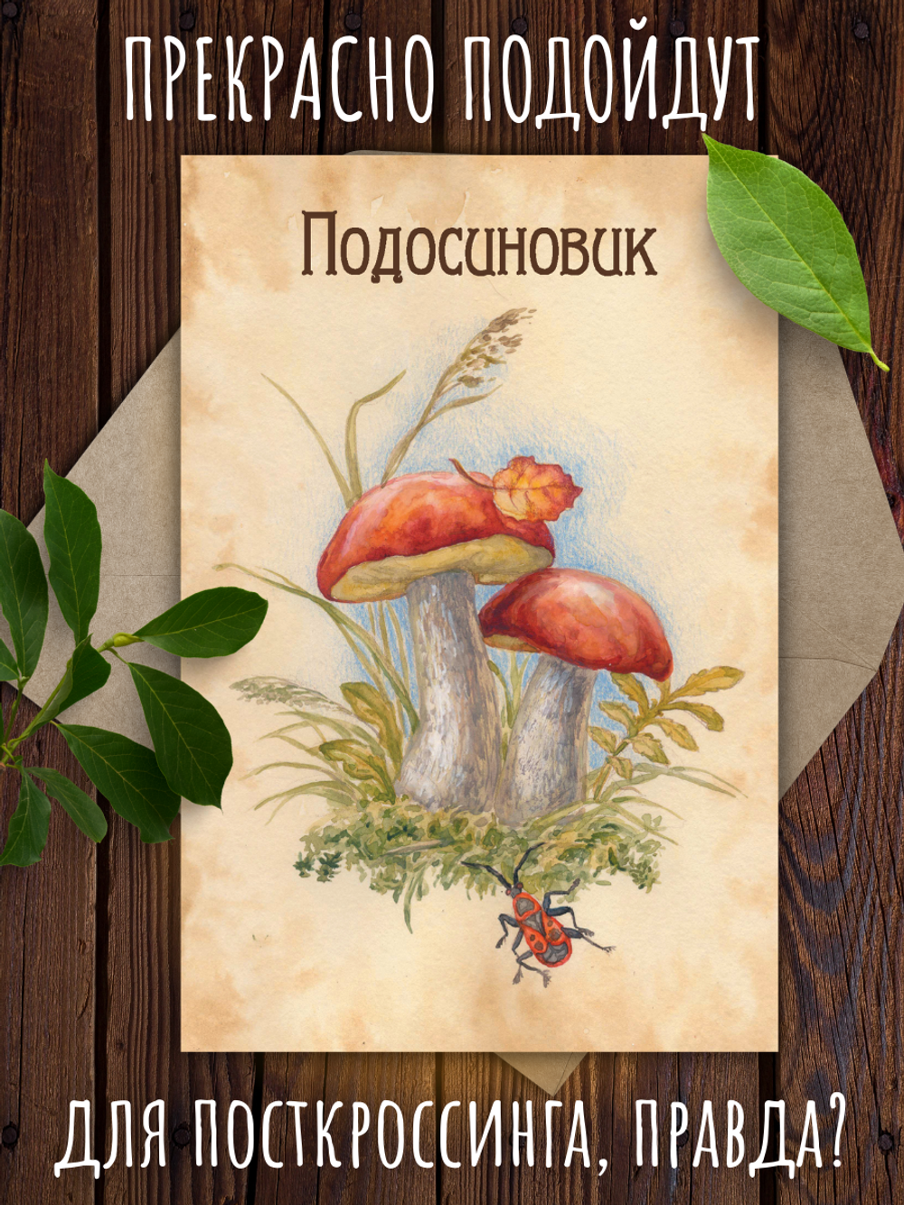 Грибы. 9 открыток