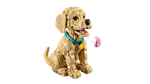 Конструктор LEGO Icons 11384 Golden Retriever Puppy