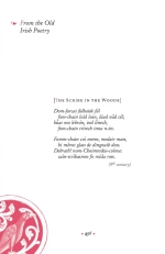 Записки переводчика-рецидивиста