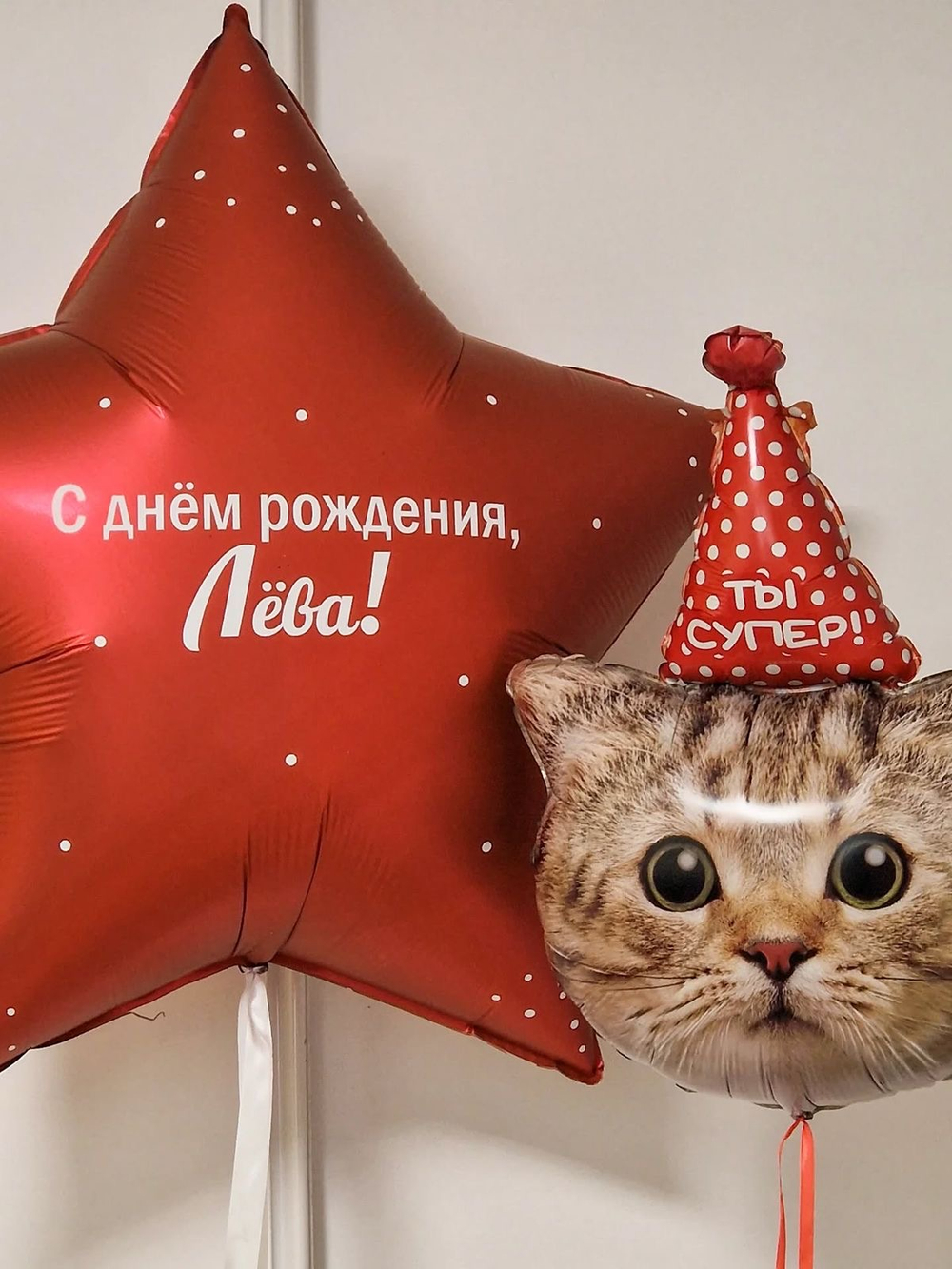 АРТ 00521