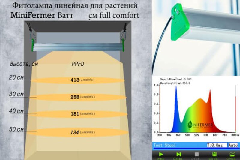 Фитолампа minfermer, схема освещенности и спектральный анализ для оптимального роста