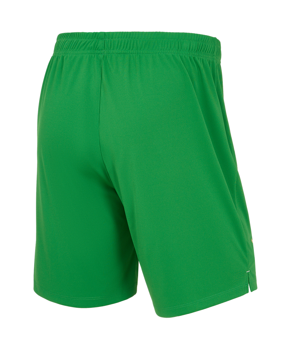 Шорты вратарские Jögel PerFormDRY Spartak 25 GK Shorts, зеленый