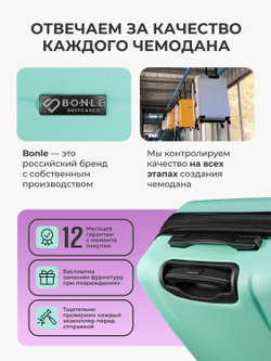 Набор S/L ручная кладь и большой Мятный
